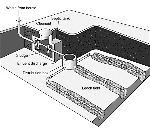 Typical Septic System